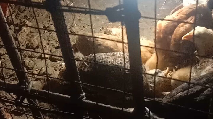 new born#june 9,2023