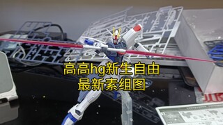 高高hg新生自由最新素组图！根据群友爆料 有雪铁龙刻线，龙头部零件比较松，本体组合度还行，部分零件翻模错误！点赞关注了解第一手模玩信息