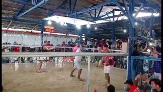 GolemDirtyDom Strikes Unscrathed 10 months old