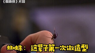 电影《蜘蛛侠》里爬到托比手上的蜘蛛竟然是真的而不是特效