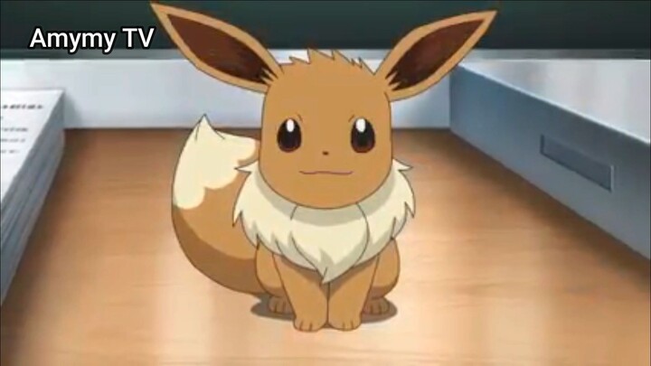 Pocket Monsters 2019 (Ep 49.1) Con Eievui không thể tiến hóa? #PocketMonsters2019