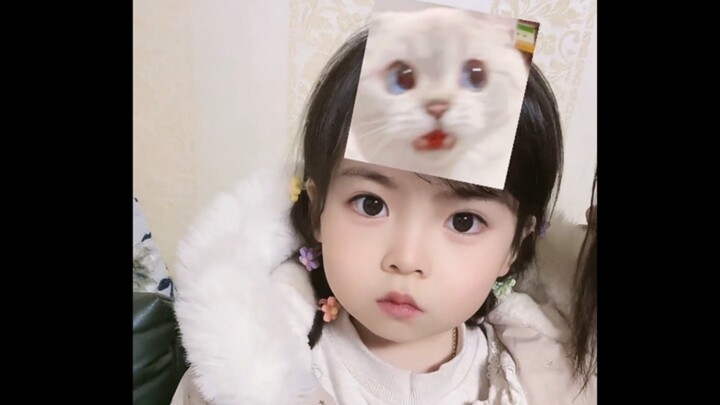 Tes ekspresi kucing lucu