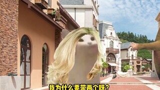 cheems 亲子鉴定