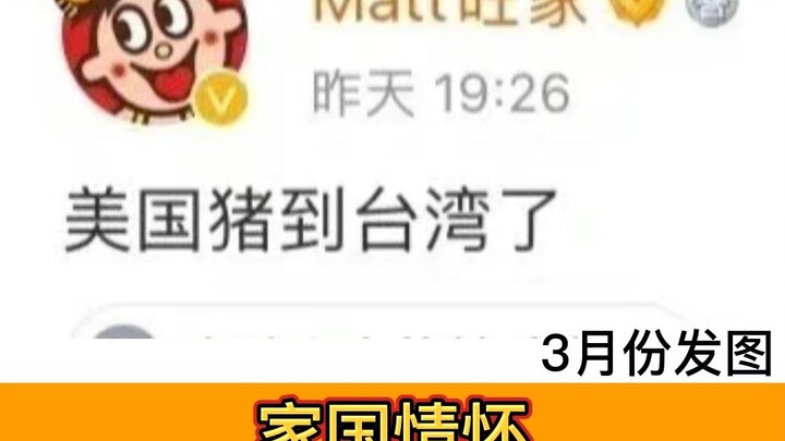 Wangwang: A Taiwanese Company with Deep National Sentiment