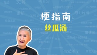 丝瓜汤是什么梗【梗指南】
