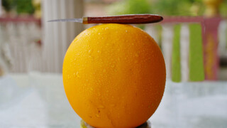 Carving Amiya on a Yellow Melon