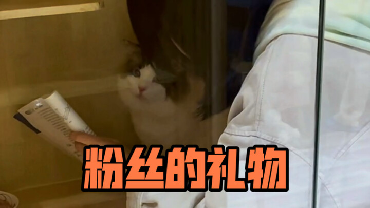 In that moment, it was as if I saw myself.