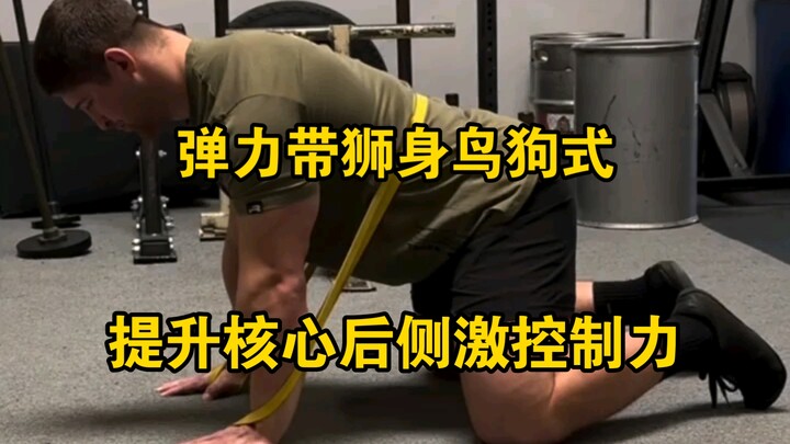 แบรนด์ มอร์แกน เสริมความแข็งแรงของแกนลำตัวด้านหลัง – ท่าสิงห์นกใช้ยางยืด