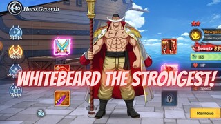 NEWGATE WHITEBEARD DESTROY PVP !! AUTO GETAR - NEW WORLD VIRGOUR VOYAGE