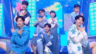 五代新男团The Wind《SEVENTEEN - 珍爱》230608 特别舞台