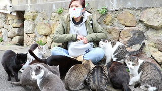 เด็กหญิงรุมล้อมด้วยแมวบนเกาะแมวของญี่ปุ่น!