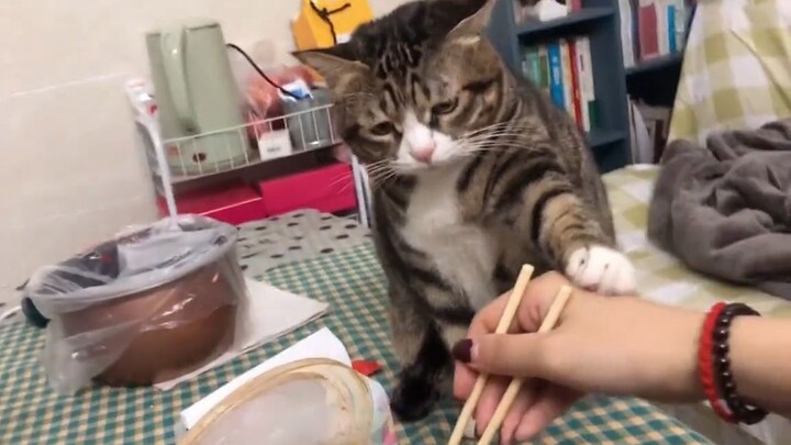 Promise me, don't eat shit again in the future~