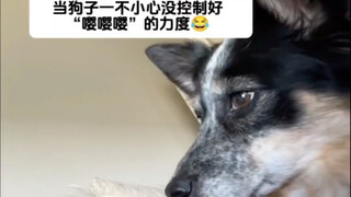 The dog couldn't control its strength while acting cute