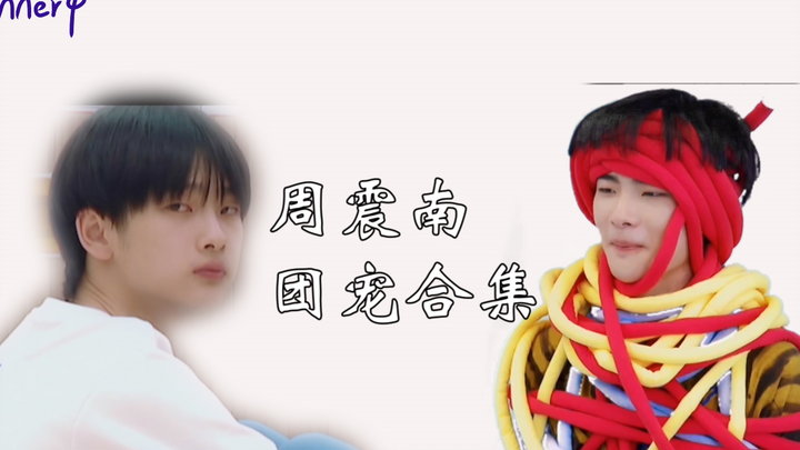 Zhou Zhennan’s Team-Pet Moments