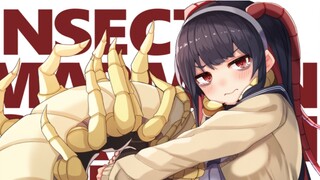 [Anime]Insect girls