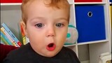 Cute Toddler Makes Animal Sounds 🐷🐶 🐱 Baby Makes Color for Our Life