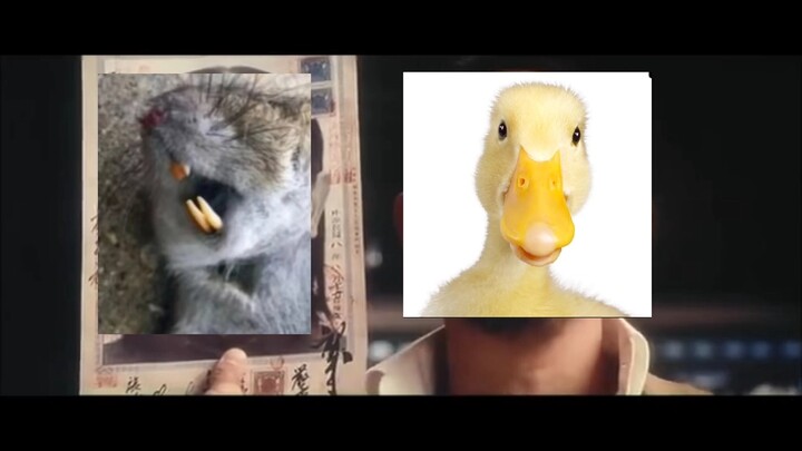 Is this you in the photo?