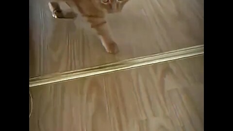 لا يزال عليك أن تجرؤ على تربيتها هكذا!