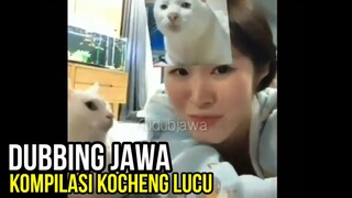 KOMPILASI DUBBING KOCHENG LUCU 😸😸 | DUBBING JAWA