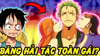 Băng Hải Tặc Thú Vị Nhất?! | Những Băng Hải Tặc Mà Ai Cũng Muốn Tham Gia trong One Piece