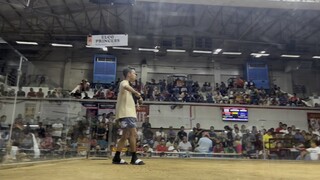 Jumper kelso broodcock