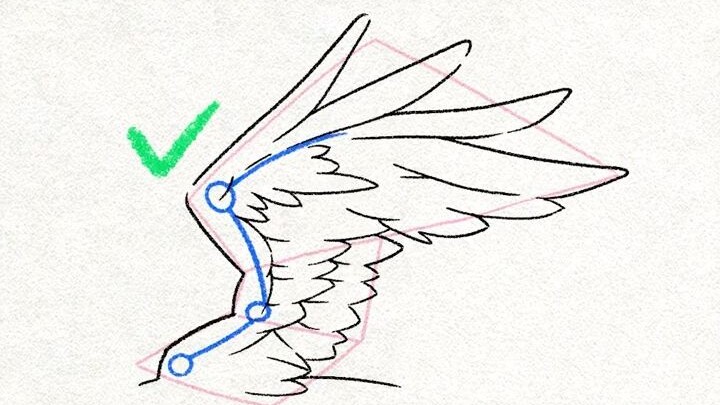 【Kawaiisensei】How to draw wings correctly