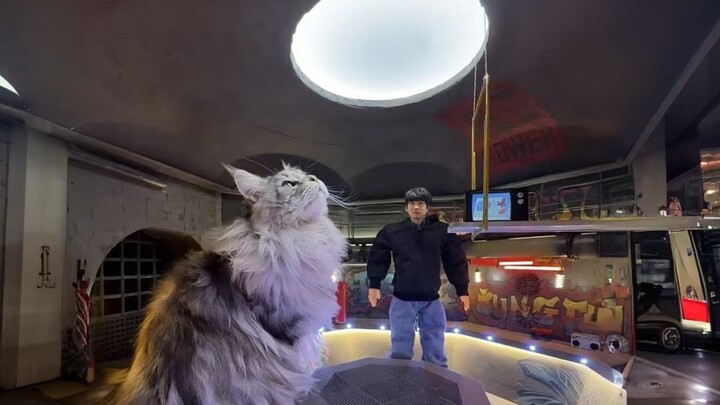 The no-old-no-young series is here! Let's explore the dungeon together!