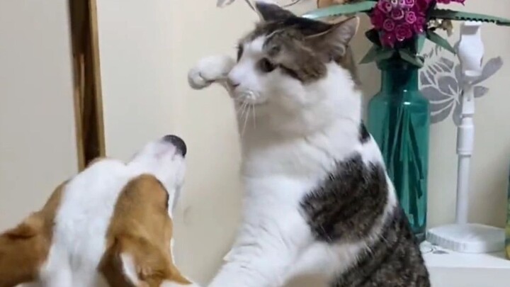 “My little kitty is no pushover either”