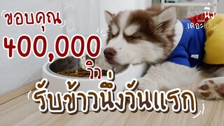 รับข้าวนึ่งวันแรก - ข้าวนึ่ง & เดอะแก๊ง Ep.1