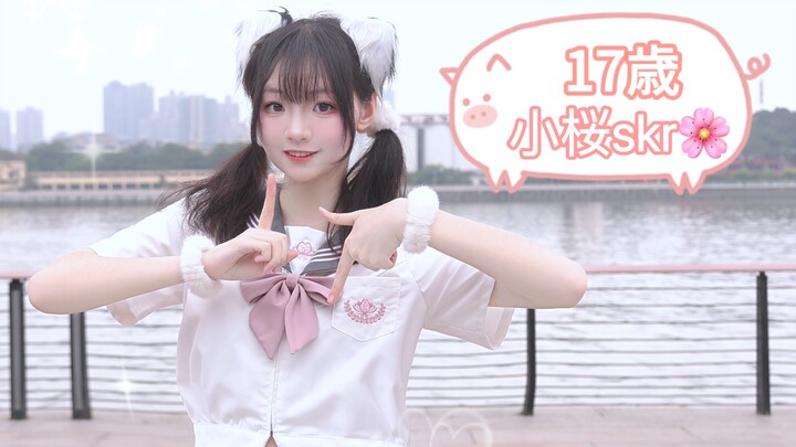 【Tiểu Sakura🌸】17 tuổi, chúc mừng sinh nhật! 【Tác phẩm mừng sinh nhật】