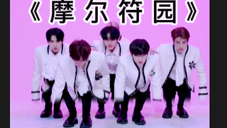 《 摩 尔 符 园 》