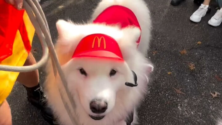 The cutest McDonald’s employee in town has arrived!