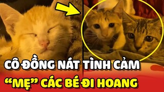 Cảm động cô Đồng Nát ở Gò Vấp trở thành "MẸ" của hàng chục bé chó mèo hoang ❤ | Yêu Lu