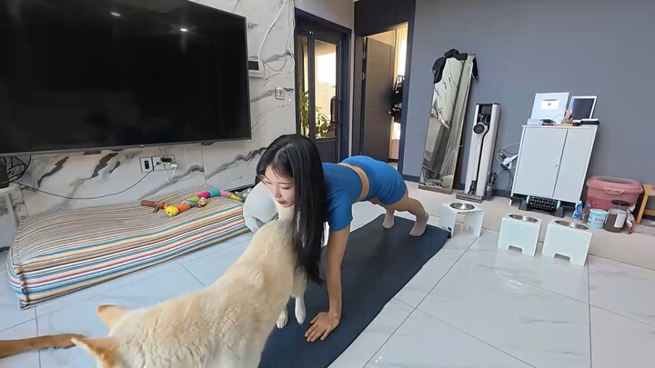 Cô gái trẻ tắm cho thú cưng