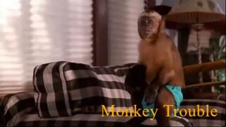 Monkey Trouble 1994