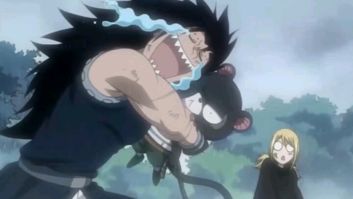 Fairy Tail Gajeel has a cat too