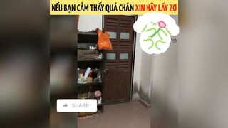 Nếu bạn cảm thấy quá chán xin hãy lấy vợ