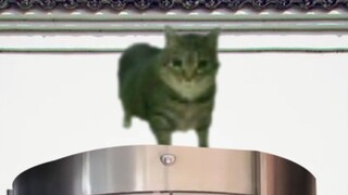 Công việc mới của oiiai