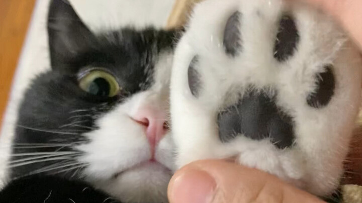 “Ibu, jangan main lagi”