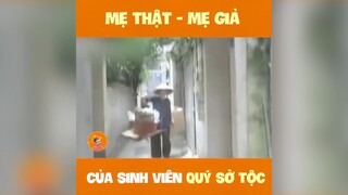 Mẹ thật - Mẹ giả