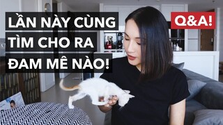 Video này quyết tìm được đam mê & động lực cho bạn