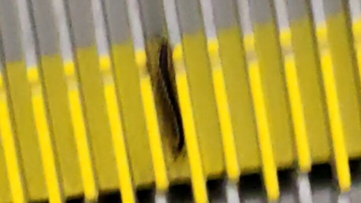 The Reality of Graduates Entering Society