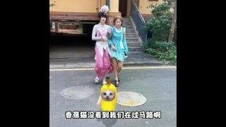 香蕉猫你也太烦了 #斗罗大陆唐三小舞