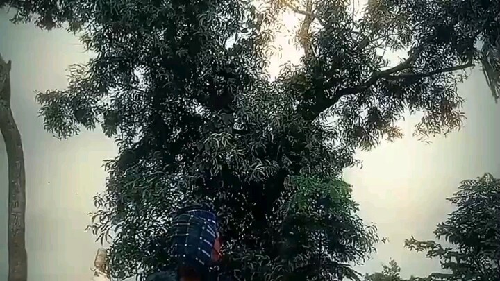 অবশেষে আমি বানিয়ে ফেললাম ট্রেন্ডিং ভিডিও🤣🤣😂