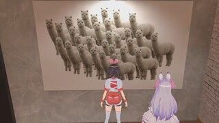 【Ai Ge】Why are you speaking Tibetan?