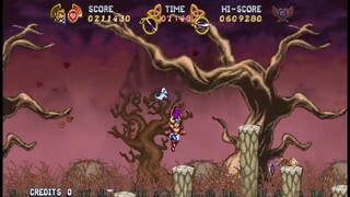 Super Battle Princess Madelyn (exA) - 1CC Normal Mode _ Hard Route