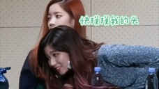 事实证明柴犬真的很喜欢被人摸头🤣|凑崎纱夏|金多贤|俞定延|twice