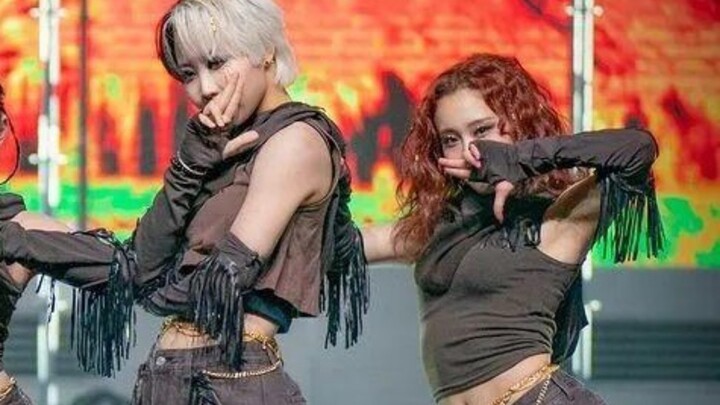 Ban đầu tôi thích cả hai người riêng lẻ, nhưng tôi không ngờ mình lại yêu Park Eun-woo×Miyabi ｜ ENTJ