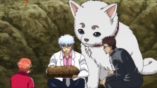 Sadaharu Si Anjing Besar yang Sangat Menggemaskan | Fanart