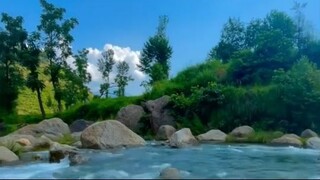 Beautiful Nature Video